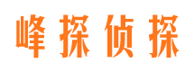 怀安市调查公司